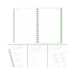 Cambridge 2025 Ombre 5.5