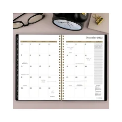 Cambridge 2025 Radiate 5.5