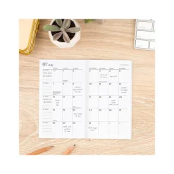 Cambridge 2024-2026 WorkStyle Mellow Frost 3.5