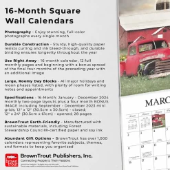 BrownTrout 2025 Hopper Studios Beckoning Barns 12