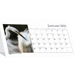 House of Doolittle 2025 Earthscapes Wildlife 8.5" x 4.25" Monthly Desk Calendar (3689-25) Online