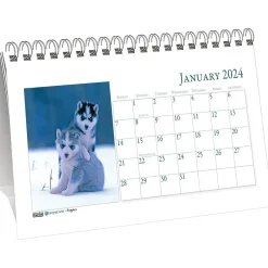 House of Doolittle 2025 Earthscapes Puppies 8.5" x 4.25" Monthly Desk Calendar (3659-25) Best