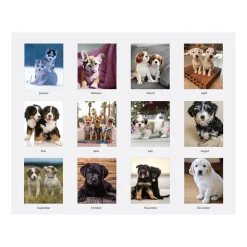 House of Doolittle 2025 Earthscapes Puppies 8.5" x 4.25" Monthly Desk Calendar (3659-25) Best