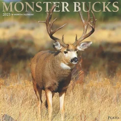 BrownTrout 2025 Plato Monster Bucks 12" x 24" Monthly Square Wall Calendar, (9781975480769) Sale
