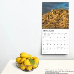 BrownTrout 2025 Plato Motivation 12