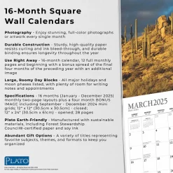 BrownTrout 2025 Plato Motivation 12