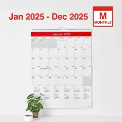 Staples 2025 22" x 29" Wall Calendar, White/Red (ST53914-25) Best