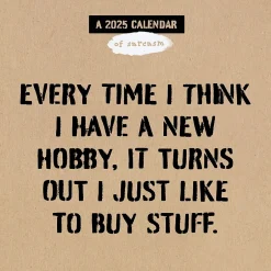 TF Publishing 2025 Anti-Affirmations 12" x 12" Monthly Wall Calendar (25-1100) Online