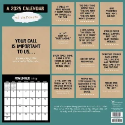 TF Publishing 2025 Anti-Affirmations 12" x 12" Monthly Wall Calendar (25-1100) Online