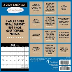 TF Publishing 2025 Anti-Affirmations & Sarcasm 7" x 7" Monthly Wall Calendar (25-2100) Outlet