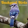 TF Publishing 2025 Backyard Birds 12" x 12" Monthly Wall Calendar (25-1033) Outlet
