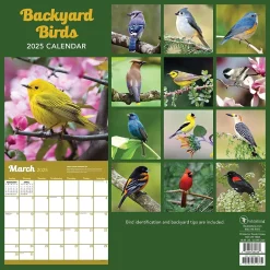 TF Publishing 2025 Backyard Birds 12" x 12" Monthly Wall Calendar (25-1033) Outlet
