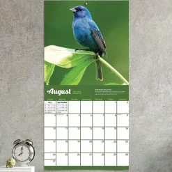 TF Publishing 2025 Backyard Birds 12