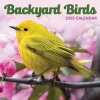 TF Publishing 2025 Backyard Birds 7" x 7" Monthly Wall Calendar (25-2013) New