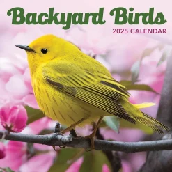 TF Publishing 2025 Backyard Birds 7" x 7" Monthly Wall Calendar (25-2013) New