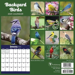 TF Publishing 2025 Backyard Birds 7" x 7" Monthly Wall Calendar (25-2013) New