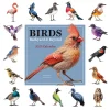 TF Publishing 2025 Birds: Backyard and Beyond 12" x 12" Monthly Wall Calendar (25-1121) Clearance