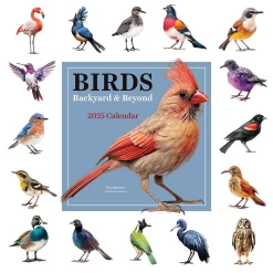 TF Publishing 2025 Birds: Backyard and Beyond 12" x 12" Monthly Wall Calendar (25-1121) Clearance