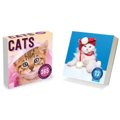 TF Publishing 2025 Cat A Day 5.25" x 5.25" Day-to-Day Calendar (25-3002) Discount