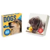 TF Publishing 2025 Dog A Day 5.25" x 5.25" Day-to-Day Calendar (25-3008) Best