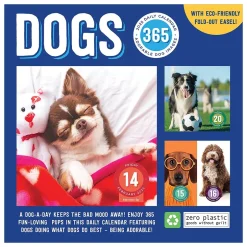 TF Publishing 2025 Dog A Day 5.25" x 5.25" Day-to-Day Calendar (25-3008) Best