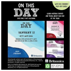 TF Publishing 2025 On This Day 5.25" x 5.25" Day-to-Day Calendar (25-3004) Hot