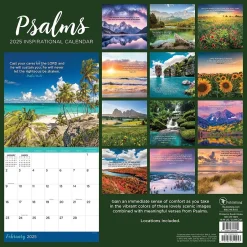 TF Publishing 2025 Psalms 12" x 12" Monthly Wall Calendar (25-1024) Online