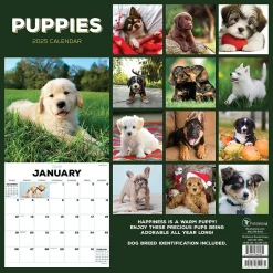 TF Publishing 2025 Puppies 12" x 12" Monthly Wall Calendar (25-1025) Best
