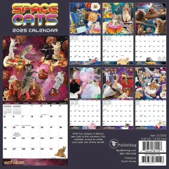 TF Publishing 2025 Space Cats 7" x 7" Monthly Wall Calendar (25-2009) Online