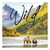 TF Publishing 2025 Wild 12" x 12" Monthly Wall Calendar (25-1032) Sale