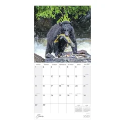 TF Publishing 2025 Wild 12