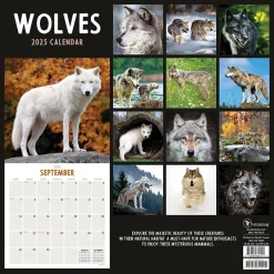 TF Publishing 2025 Wolves 12" x 12" Monthly Wall Calendar (25-1035) Best