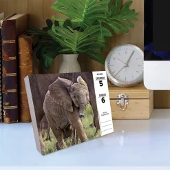 Willow Creek 2025 Baby Animals 6.2