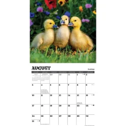 Willow Creek 2025 Baby Animals 12