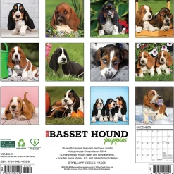 Willow Creek 2025 Basset Hound Puppies 12" x 12" Yearly Wall Calendar (41598)