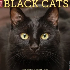 Willow Creek 2025 Black Cats 12" x 12" Monthly Wall Calendar (41833) New