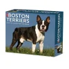 Willow Creek 2025 Boston Terriers 6" x 5.5" Day-to-Day Calendar (40683) Sale