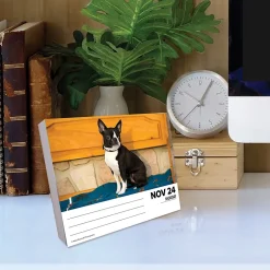 Willow Creek 2025 Boston Terriers 6