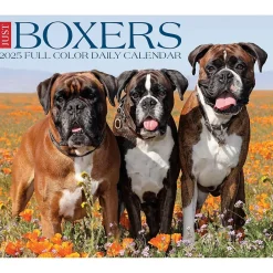 Willow Creek 2025 Boxers 6