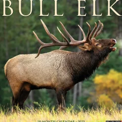 Willow Creek 2025 Bull Elk 12" x 12" Monthly Wall Calendar, Multicolor (42007) Sale