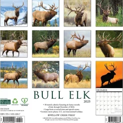 Willow Creek 2025 Bull Elk 12" x 12" Monthly Wall Calendar, Multicolor (42007) Sale