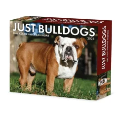 Willow Creek 2025 Bulldogs 6" x 5.5" Day-to-Day Calendar, Multicolor (40706)