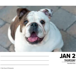 Willow Creek 2025 Bulldogs 6