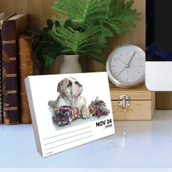 Willow Creek 2025 Bulldogs 6