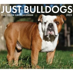 Willow Creek 2025 Bulldogs 6