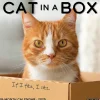 Willow Creek 2025 Cat in a Box 12" x 12" Monthly Wall Calendar (42182)
