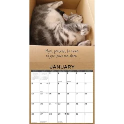 Willow Creek 2025 Cat in a Box 12