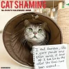 Willow Creek 2025 Cat Shaming 12" x 12" Monthly Wall Calendar (42205) Online