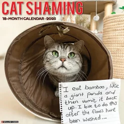 Willow Creek 2025 Cat Shaming 12" x 12" Monthly Wall Calendar (42205) Online
