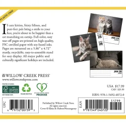 Willow Creek 2025 Cats 6" x 5.5" Day-to-Day Calendar, Multicolor (40720) Sale